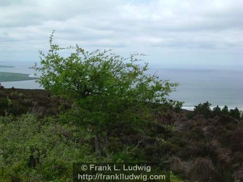 Around Knocknarea